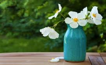 Bảy phần tám của vấn đề